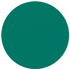 Icono redondo verde